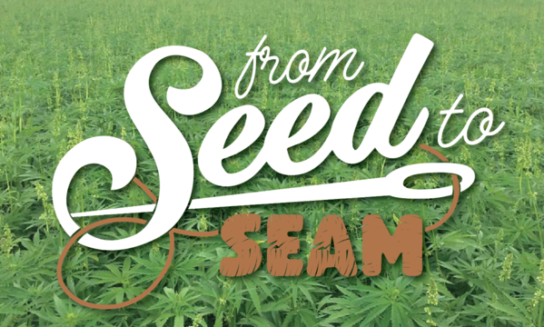 Our Hemp Story: From Seed to Seam